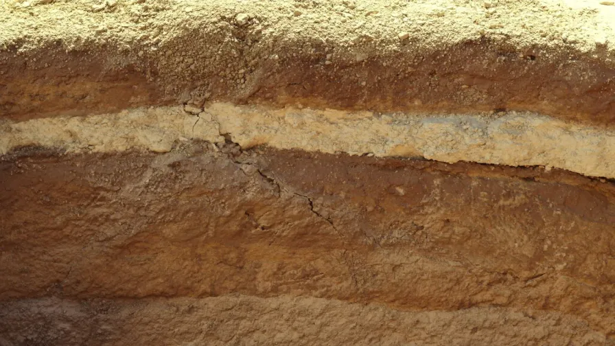Cut soil face in Arizona showing a pale caliche hardpan band between layers of sandy desert soil